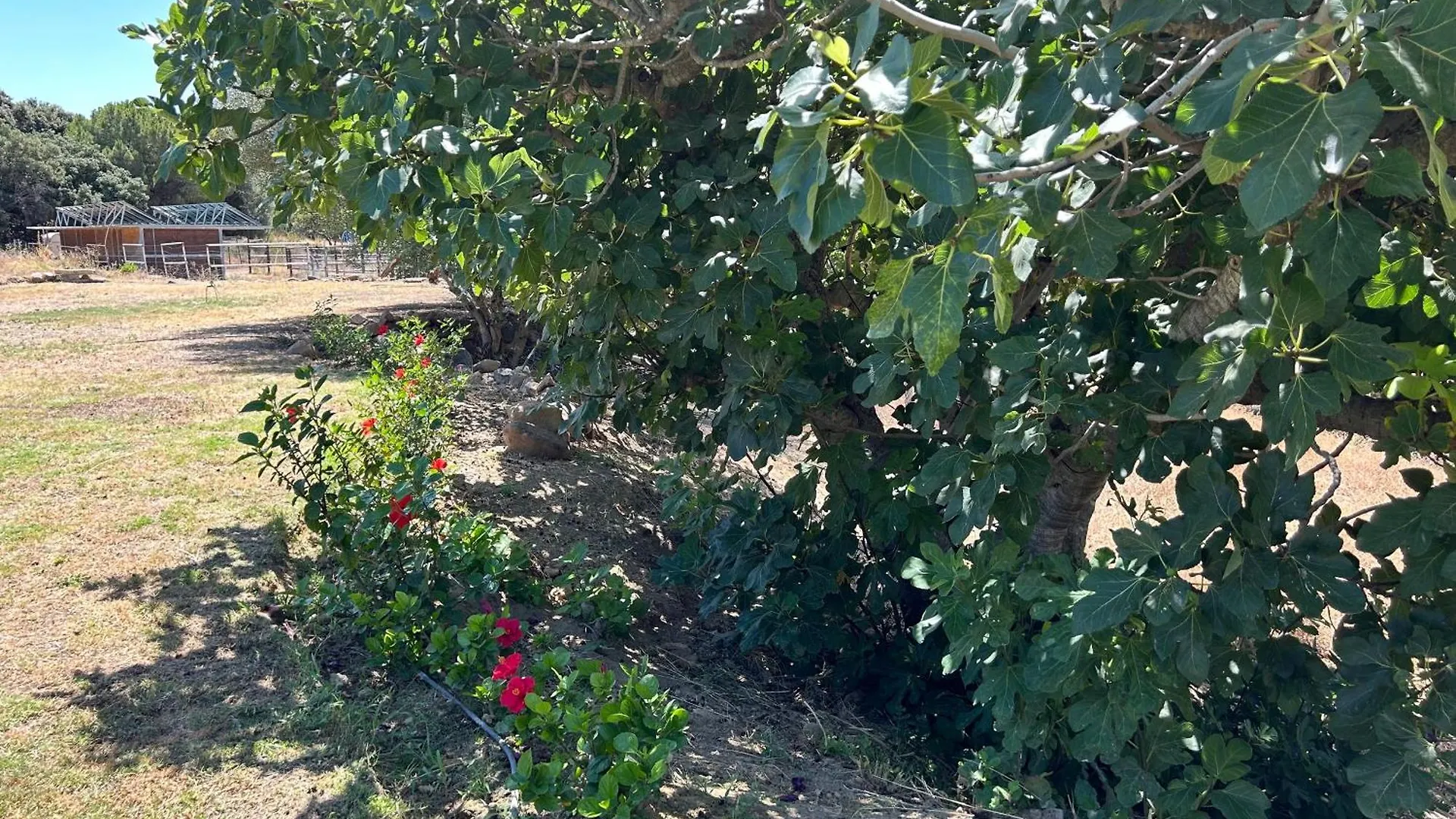 Finca Santa Teresa, Casa Granada Estepona