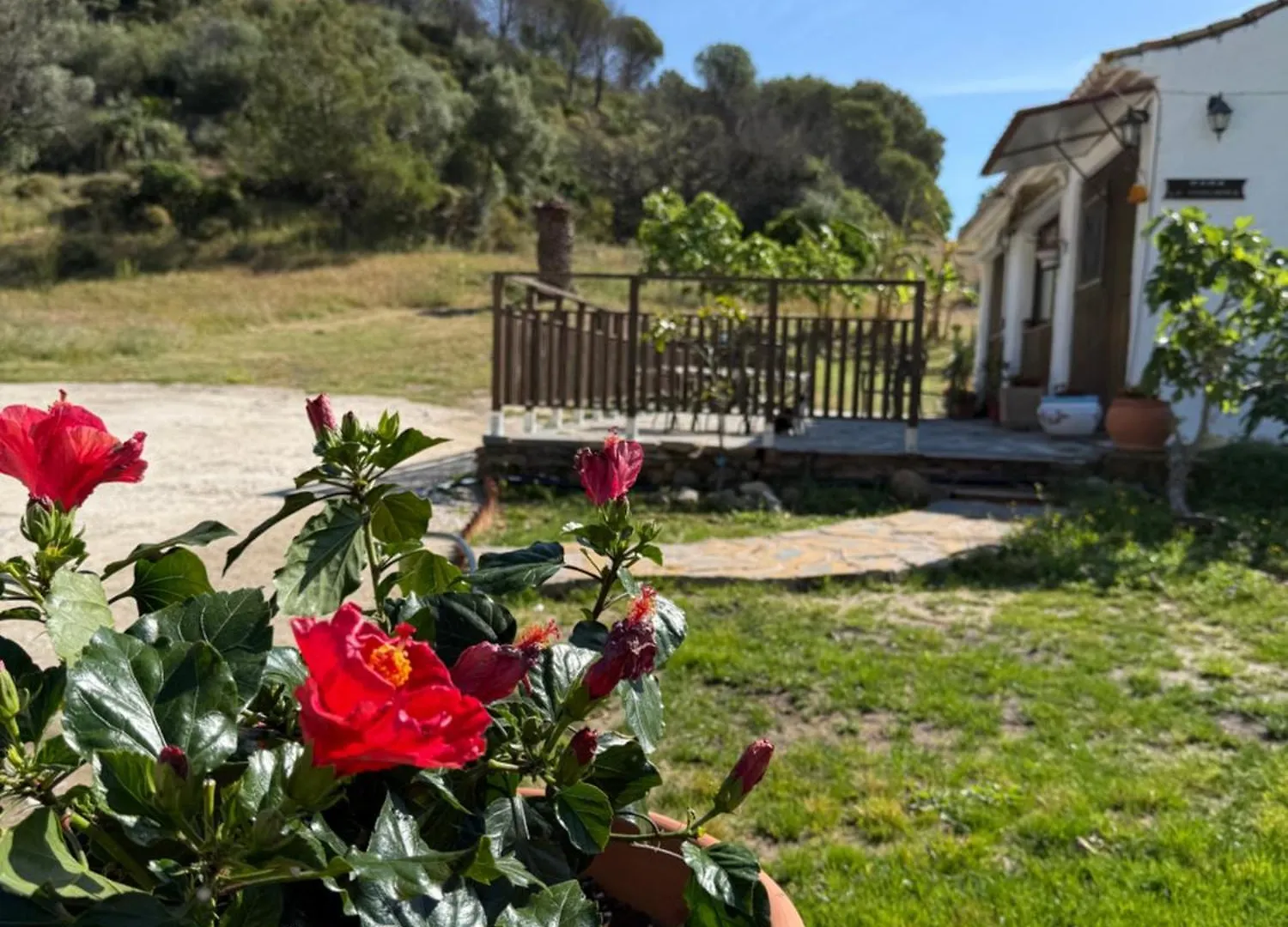 Finca Santa Teresa, Casa Granada Estepona