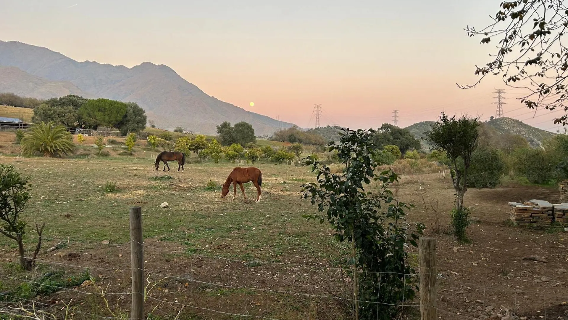 Finca Santa Teresa, Casa Granada Estepona